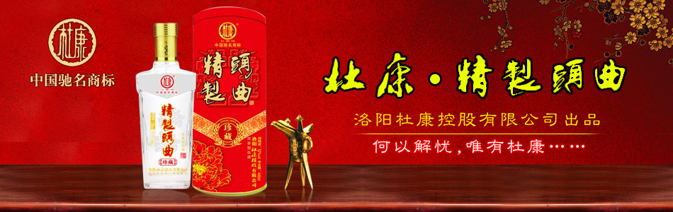 洛阳杜康控股有限公司