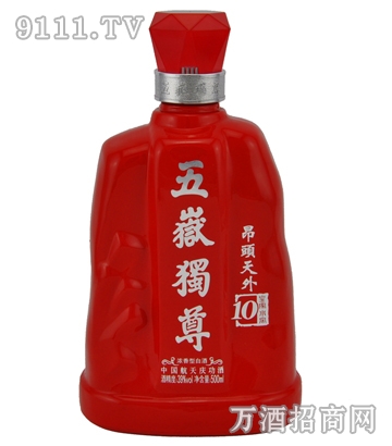 五岳独尊酒（39° 十年）