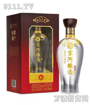 宋河粮液国字九号50度