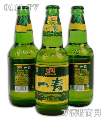 津江啤酒 一麦啤酒 500ML 瓶装