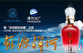 苏源洋河酒