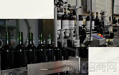 酿造葡萄酒步骤七