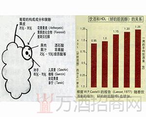 葡萄酒的营养价值