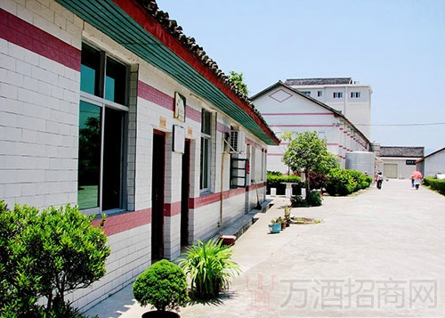 涉江楼酒业企业风貌