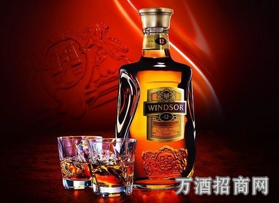 喝洋酒的礼仪