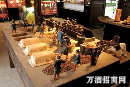 小曲酒酿造的微生物-根霉