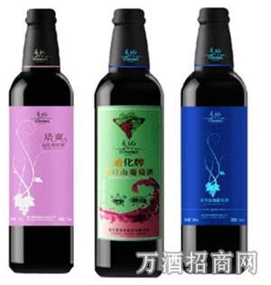 通化山葡萄酒三支组合装500ml*3