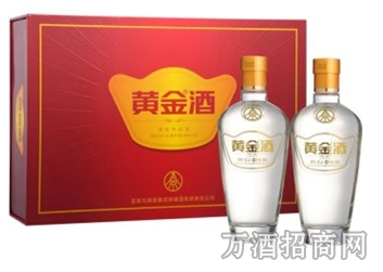 五粮液黄金酒名酒52度贵宾礼盒480ml*2