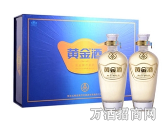 五粮液 黄金酒礼盒35度 480ml*2