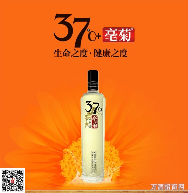 37度毫菊酒