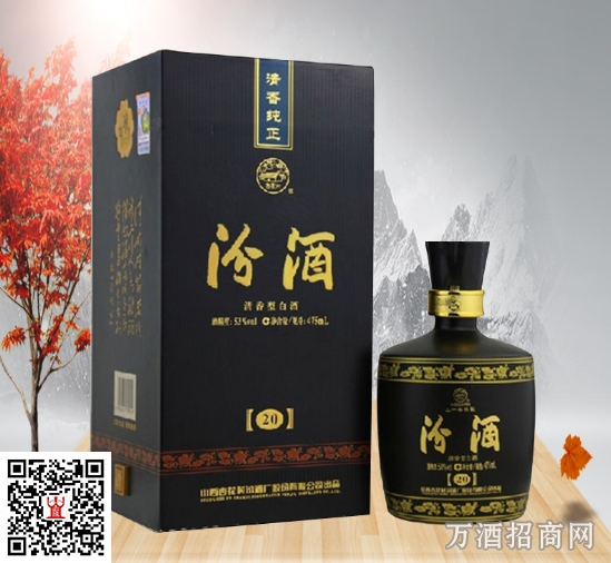 53度 汾酒 黑坛二十年陈酿