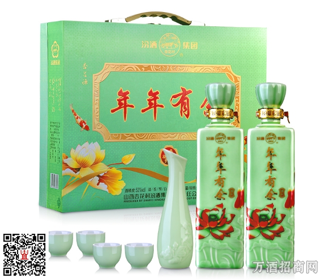 53度汾酒年年有余500ML*2