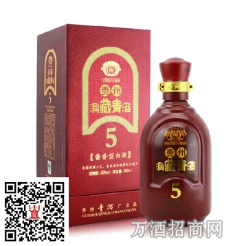 贵州52°洞藏青酒5年陈酿