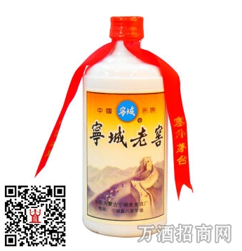 陈年老酒38°宁城老窖（红膜小铁盖）
