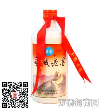 陈年老酒46°宁城老窖（红膜小铁盖）