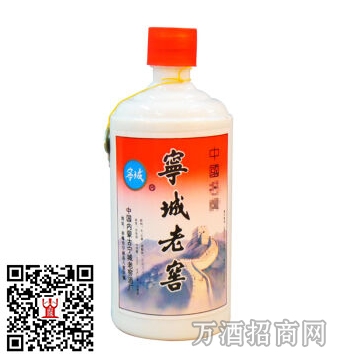 陈年老酒50°宁城老窖（瓷瓶）