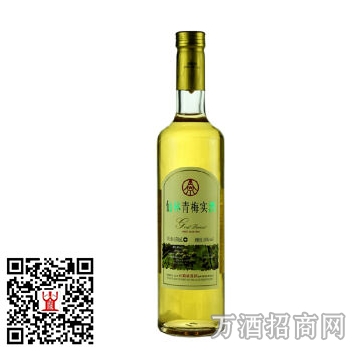 粮液果酒 仙林青梅实酒