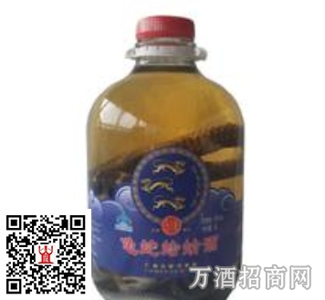 蛤蚧酒是一种养生保健类炮制酒，其配方是：蛤蚧1对，鹿鞭1具，巴戟天30克，肉苁蓉30克，枸杞子30克，山茱萸100克，沉香4克，蜂蜜50克，白酒5斤。蛤蚧酒的制作方法很简单：将蛤蚧去头、足、鳞，切成小块，浸于酒中，封固两个月。有很多人问蛤蚧酒可以随便河马？，在此小标给于非常肯定的回答是不能，蛤蚧酒具有滋阴补肾，纳气定喘，对于阴虚火旺的人是不能饮用的。同时还要提醒大家：蛤蚧酒每天的饮用量在30毫升（大概一两）是最好的，切记不能多喝。 注意：使用蛤蚧很重要的一点是注意真伪。最常见的伪品是一种叫喜山鬣