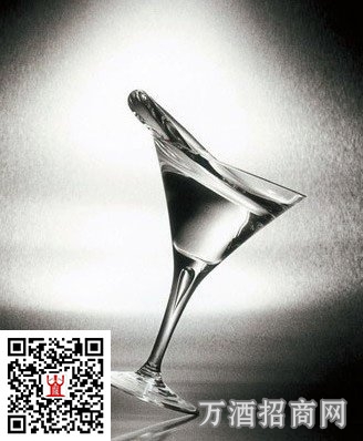 53°武陵酒十二生肖509ml