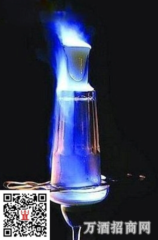 分子鸡尾酒：