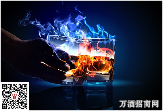 夜不回家鸡尾