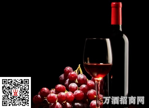 葡萄酒