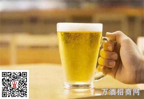 人大代表孙明波：啤酒的海外竞争需要差异化