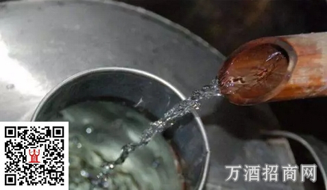 原浆酒不能不说的秘密