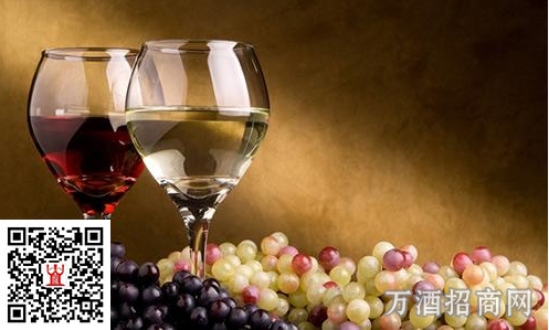 七大常见的葡萄酒谣言 别再上当了