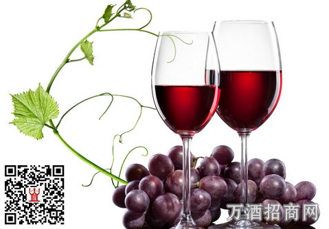 白酒劲大 联想或转战进口葡萄酒市场