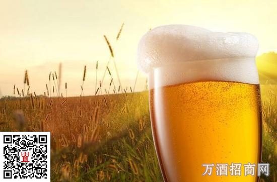 中国啤酒营销趋势新解——穿透终端壁垒的营销逻辑