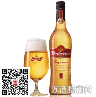 百威金尊啤酒500m