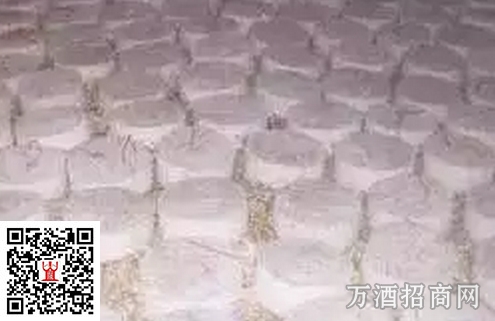 酒曲为何物？