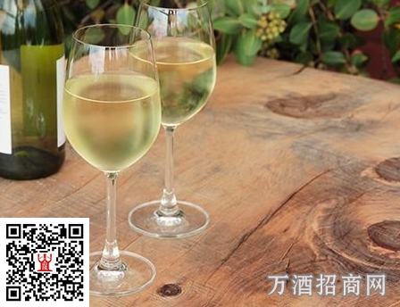 浅谈白葡萄酒