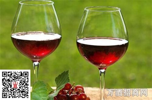 为什么我们喝不到17度以上的葡萄酒？