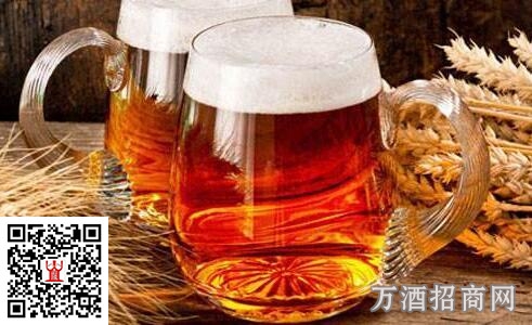 酷夏啤酒消暑这几点需要注意