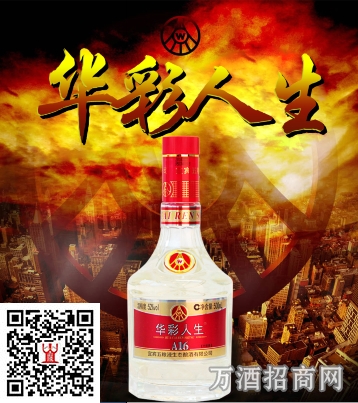 五粮液华彩人生52°A16