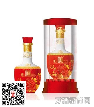 五粮液华彩人生52°荣华富贵典藏30精品玉500ml