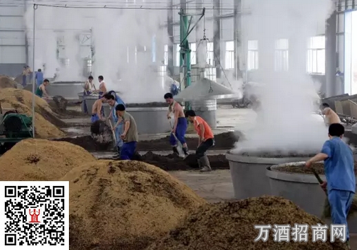 浓香型白酒中的杂味及其形成原因
