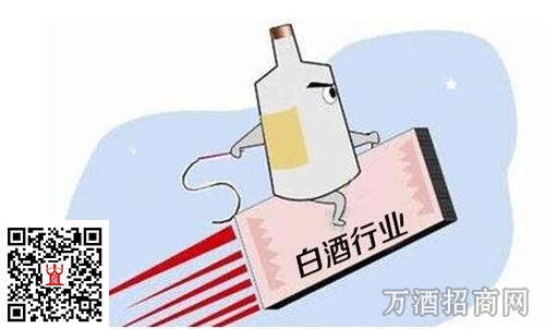 白酒行业研究之回顾和展望