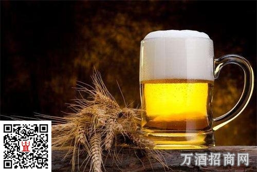 精酿啤酒为何投靠大公司？