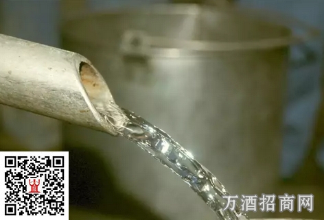 微醺是人生最好的状态