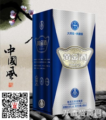 五粮液45°百龄窖黄金酒 典藏银480ml