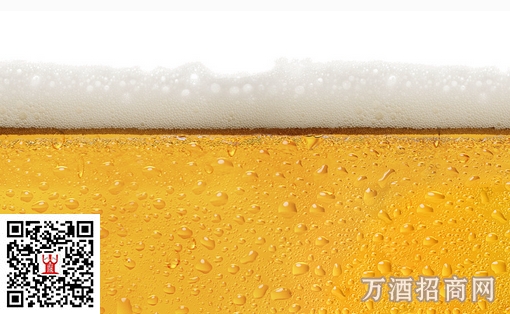 如何分辨啤酒是真是假？