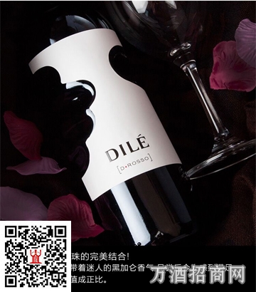 意大利 DILE 天使之手 巴贝拉赤霞珠 上帝之手 干红葡萄酒 意大利 DILE 天使之手 巴贝拉赤霞珠 上帝之手 干红葡萄酒