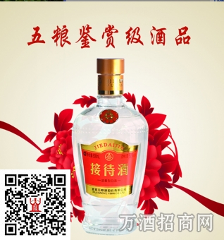 五粮液股份公司 接待酒 52度 500ml*2 浓香型白酒