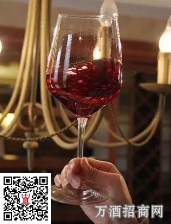 喝酒前摇杯 你的姿势泄露了一切