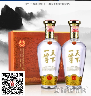 五粮液一尊天下礼盒