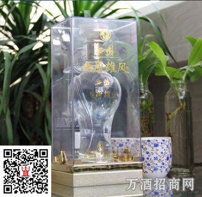 西凤酒大唐雄风