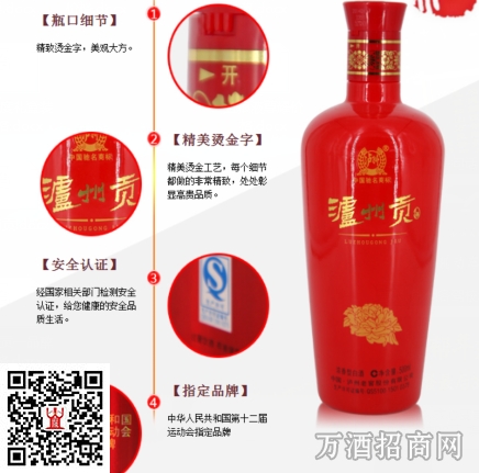 泸州贡
